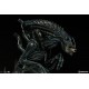 Aliens Statue Alien Warrior 44 cm